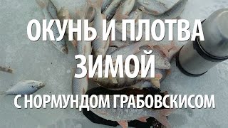 ЗИМНЯЯ ЛОВЛЯ ПЛОТВЫ и ОКУНЯ с НОРМУНДОМ ГРАБОВСКИСОМ на КУРШСКОМ ЗАЛИВЕ