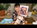 【生配信】ブルドッグの愛犬梅ちゃんが…！！！いつも応援してくれる皆さんに北斗晶からお知らせです❣️