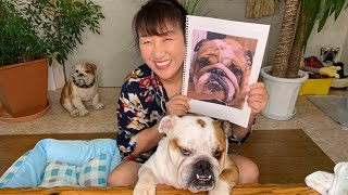 【生配信】ブルドッグの愛犬梅ちゃんが…！！！いつも応援してくれる皆さんに北斗晶からお知らせです❣️