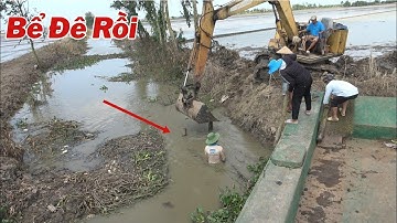 Nước Lủ Về Lớn Bất Ngờ Bể Đê ,Trong Quá Trình Đang Xuống Giống 