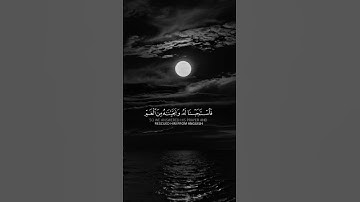 #آيات #اكسبلور #المصحف #القرآن #elmulquranعلم #القرآن_الكريم #راحة_نفسية #شورت