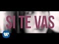 Sergio Dalma - Si te vas (Lyric video)