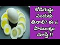 Why You Should Eat Egg 6 Points | Health Tips In Telugu | Manandari Health