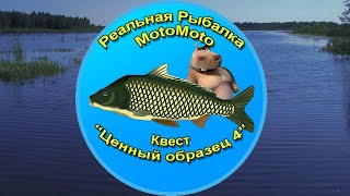 картинка: Квест 