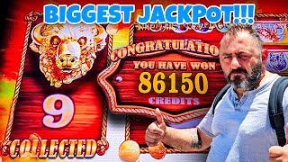картинка: 🤑Боже мой! BUFFALO GOLD: МАССОВЫЙ ЭКШЕН, БЕЗ СТОП, ДЖЕКПОТЫ И КРУПНЫЕ ВЫИГРЫШИ