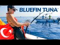 Chasing bluefin tuna  the worlds most expensive fish