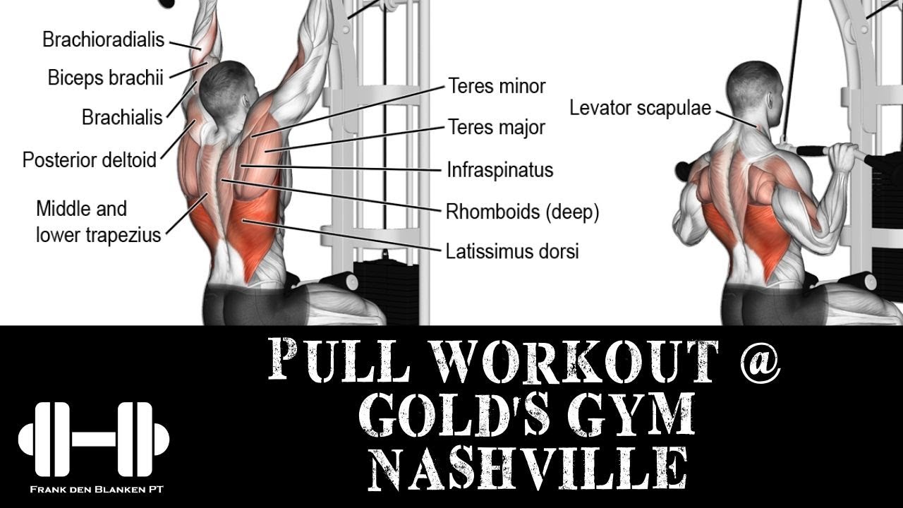 PULL WORKOUT GOLD'S GYM NASHVILLE YouTube