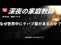 【深夜の家庭教師】なぜ世界中にケバブ屋があるのか?/ 2026/04/10(金)第244回