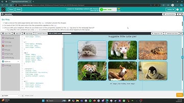 Code.org - CS Discoveries - Unit 2: Web Development - Lesson 12: Level 1