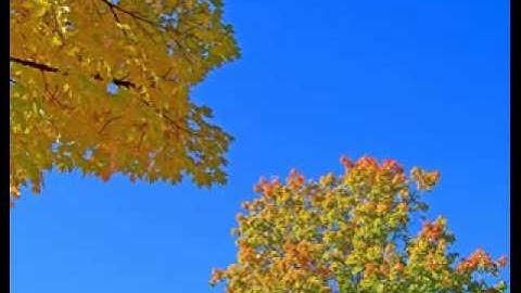 Divide and Conquer - Partitions - Set Partitions