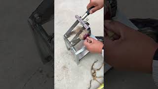 Garlic Root Cutting Chopper Machine #shortsfeed #cutter