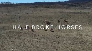 Video thumbnail of "Half Broke Horses"