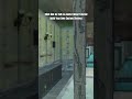 Building Your Own Custom Shelves no mods Fallout 4