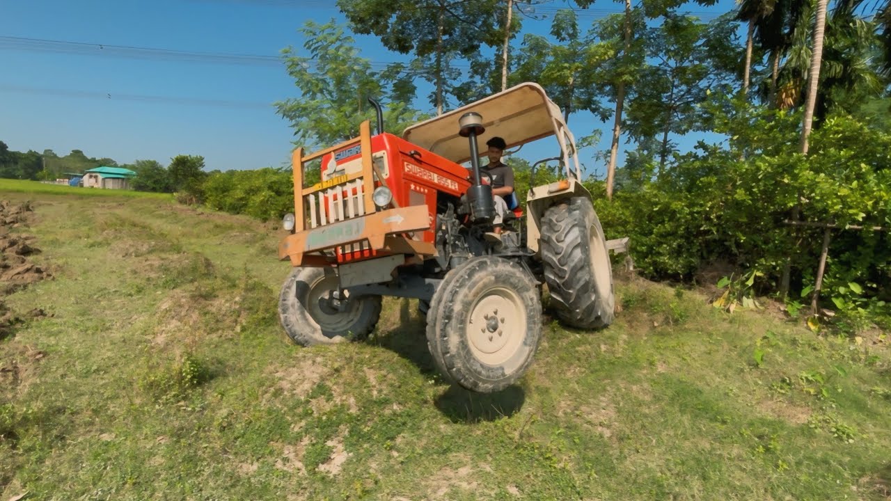 Swaraj 855 FE Tractor Working In Kaltivator | Rafik tractor wala 