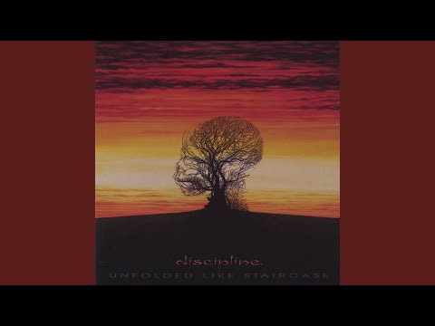 Discipline. — Into the Dream