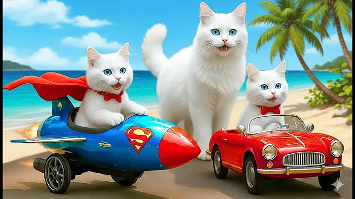 Video 11696671: cat kitten bathing, cat gently bathes, cat bathing cleaning, kitten farming, cat kitten explore