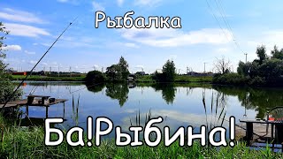 Рыбалка в Ба!Рыбина! Ясная погода. Утро. Карп.