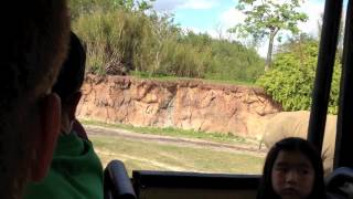 Famous Florida Holiday 2012 - Busch Gardens Net Worth