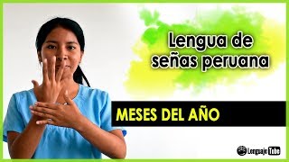 MESES DEL AÑO-LENGUA DE SEÑAS PERUANA