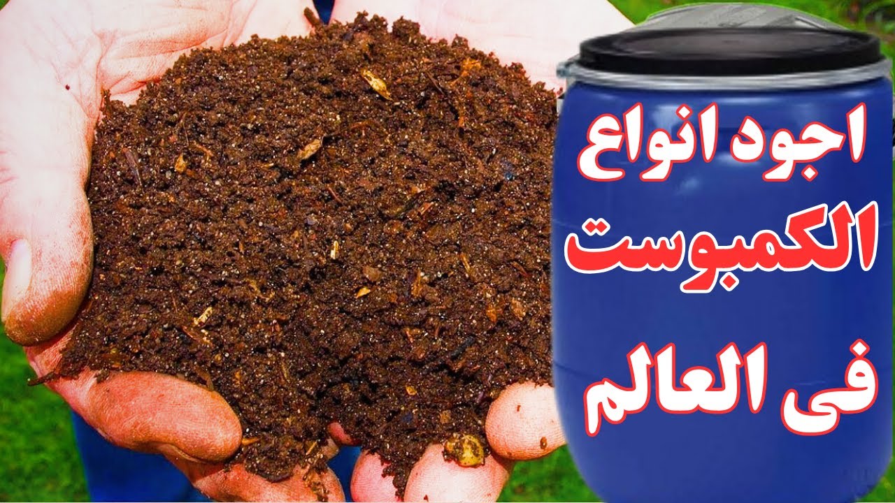 لن تستخدم سمادا اخر لمدة 3 اعوام🏋️‍♂️نمو خضرى رهيب ثمار وأزهار بلا توقف انتشار جبار للجذور تربة خصبة