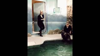 Seal video archive museum: cute baikal seals and women 👌🦭 Wealth