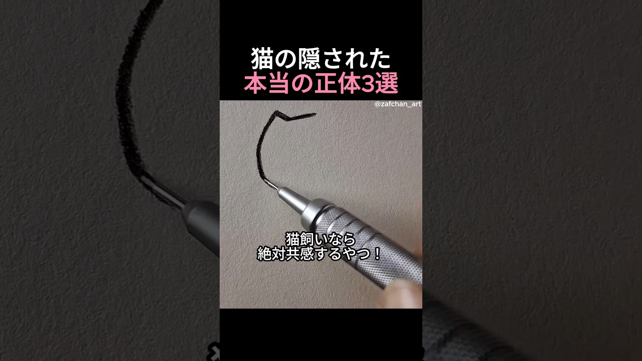 猫の隠された本当の正体3選 #絵