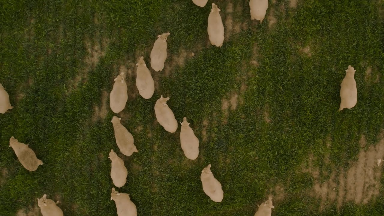 Virbac: Langkloof-plase | Multimin Testimonial