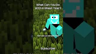 What Can You Do With A Ghast Tear? In Minecraft!