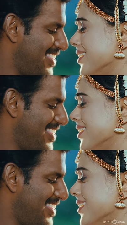 Ichu Ichu 🐺🫶 #vijayantony #vishal #sameerareddy #husky