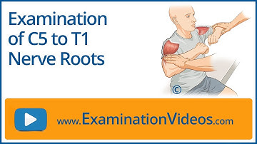 Examination of C5 to T1 Nerve Roots