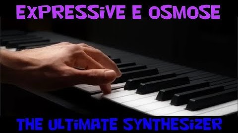 The Most Amazing Synthesizer the Expressive E Osmose
