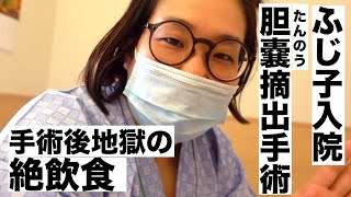 【胆石発作】で【腹腔鏡下胆嚢摘出術】～入院・手術・退院～