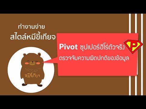 Excel Pivot Table ช่วยตรวจจับความผิดปกติของข้อมูล