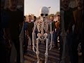 the skeleton