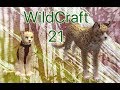 Let`s Play Wild Craft #21 Süßes Geparden Baby (+ Trick mehr Münzen und Erfahrung)