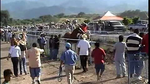 HUAPANGO-CORRIDO DE CASTULO PEREZ
