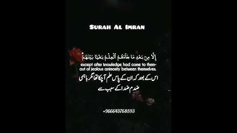 سورة آل عمران