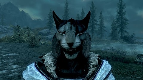 Funny Moments And Glitches In Skyrim Part 2 (Inigo + More Kharjo)