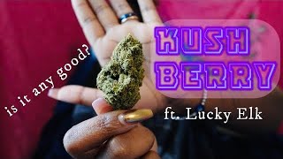 KUSH BERRY thca! first impressions + review! | Lucky Elk