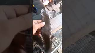 видео: выделка змеиной кожи картинка: выделка змеиной кожи