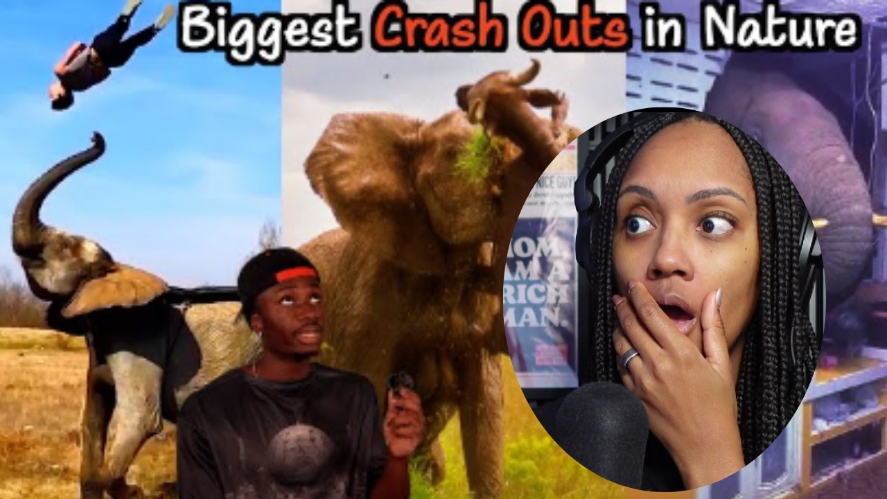 BRITTREACTS TO CASUAL GEOGRAPHICS  | VALID ANIMAL KINGDOM CRASHOUTS!!