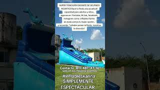 Tobogan gigante de delfines acuatico!! #inflableskarina #diversionsinfin #diversion #inflable