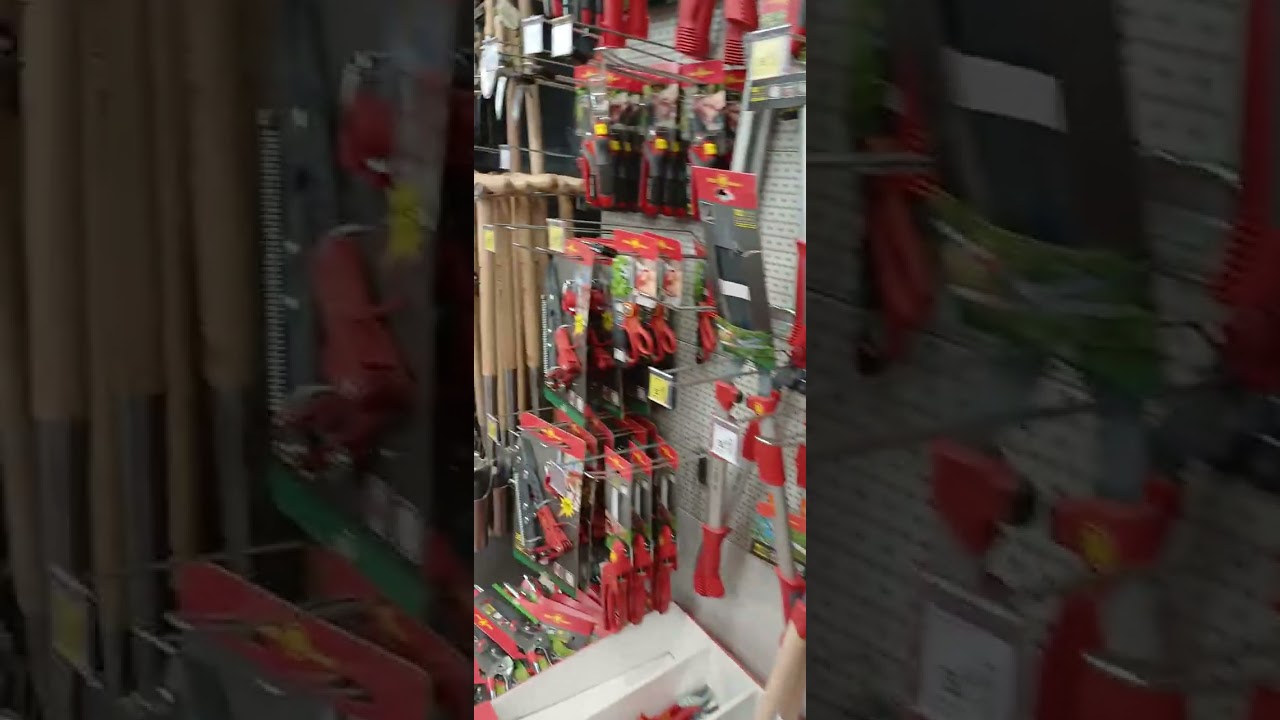 2 марта 2026 г.