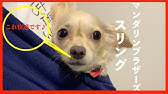 犬用スリング 小型犬用抱っこ紐の作り方 Youtube 犬用スリング 小型犬用抱っこ紐の作り方 Youtube
