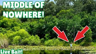 This secret spot was LOADED with fish…