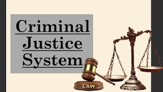 Criminal Justice System|All about process of justice system in INDIA|@SavvyForensics