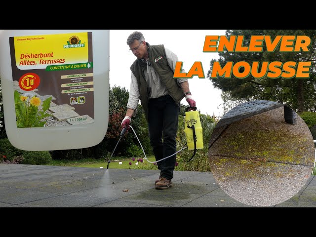 Eliminer la mousse sur une terrasse - Côté Maison