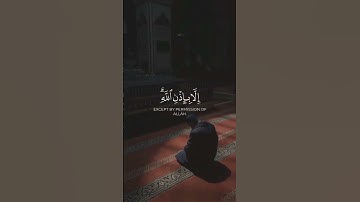سورة التغابن بصوت الشيخ ياسر الدوسري