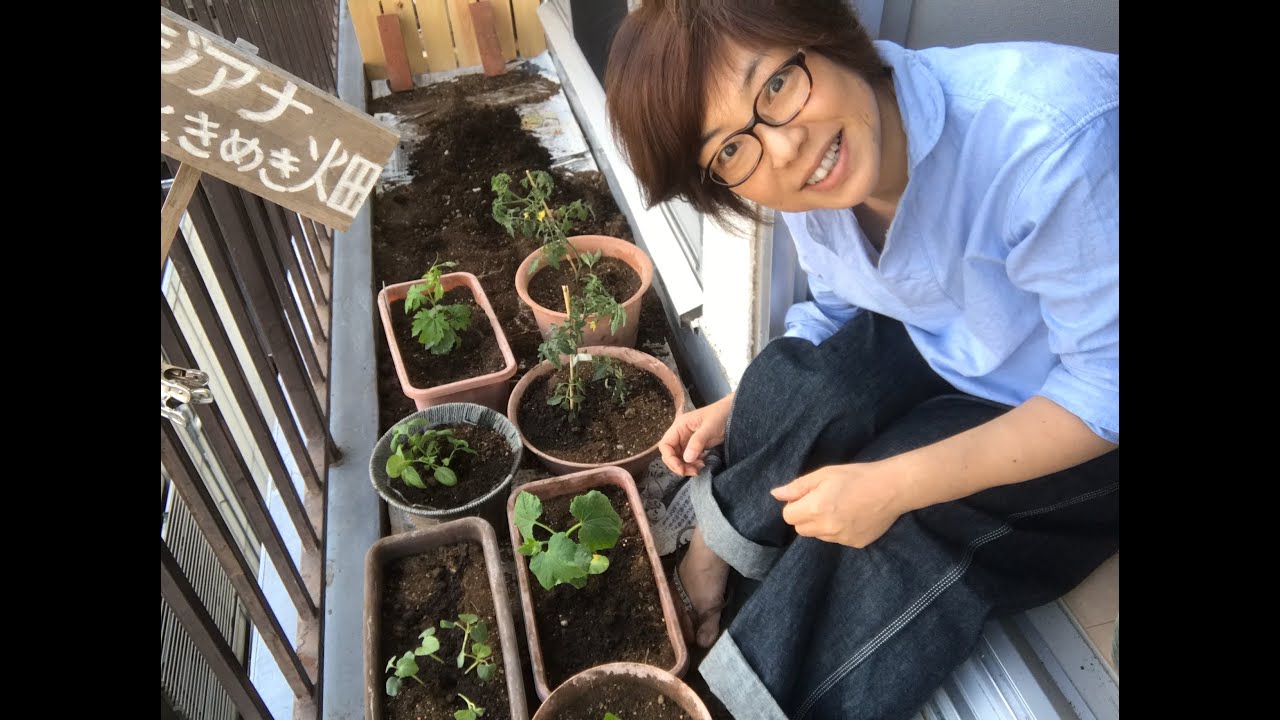 ステイホームをベランダで 野菜づくりを楽しもう初心者でも気軽にできるベランダ菜園 かんたん夏野菜の育て方 年5月2日 Youtube ステイホームをベランダで 野菜づくりを楽しもう初心者でも気軽にできるベランダ菜園 かんたん夏野菜の育て方 年5月2日 Youtube
