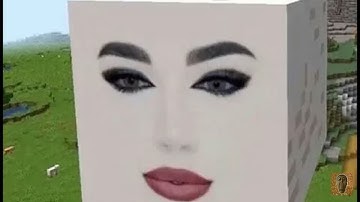 Những bức ảnh bị nguyền rủa trong minecraft